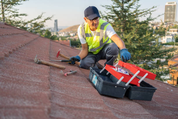 Best Historical Building Siding Restoration  in Noble, OK